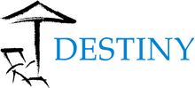 destiny logo