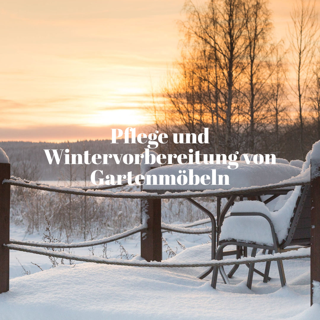 Garten im Winter