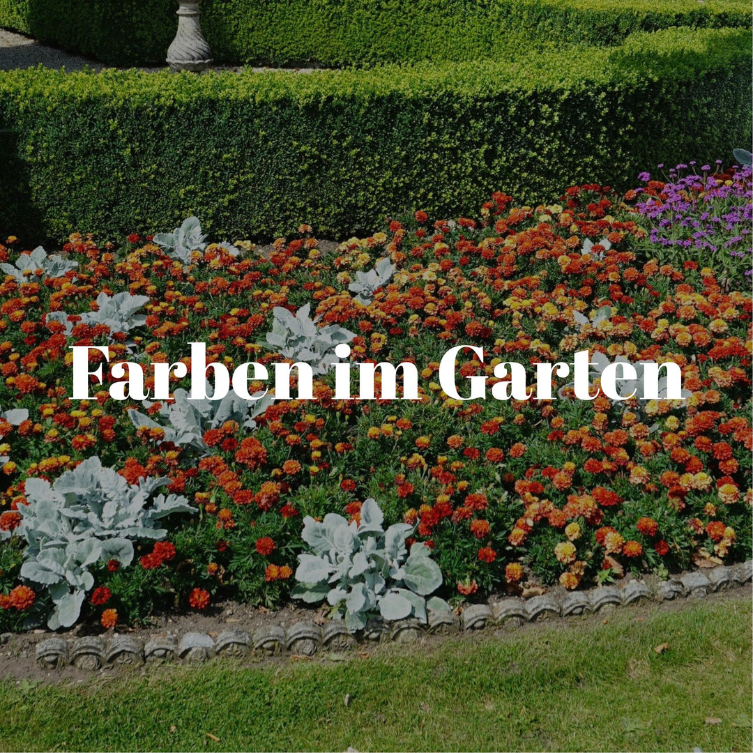 Blumenbeet