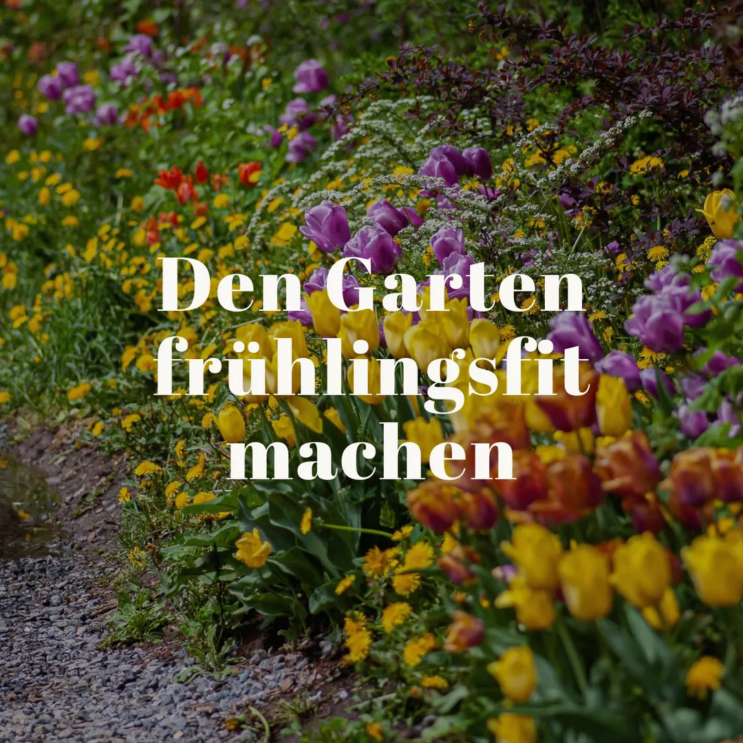 Den Garten frühlingsfit machen