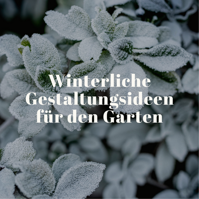 Winterliche Gestaltungsideen für den Garten