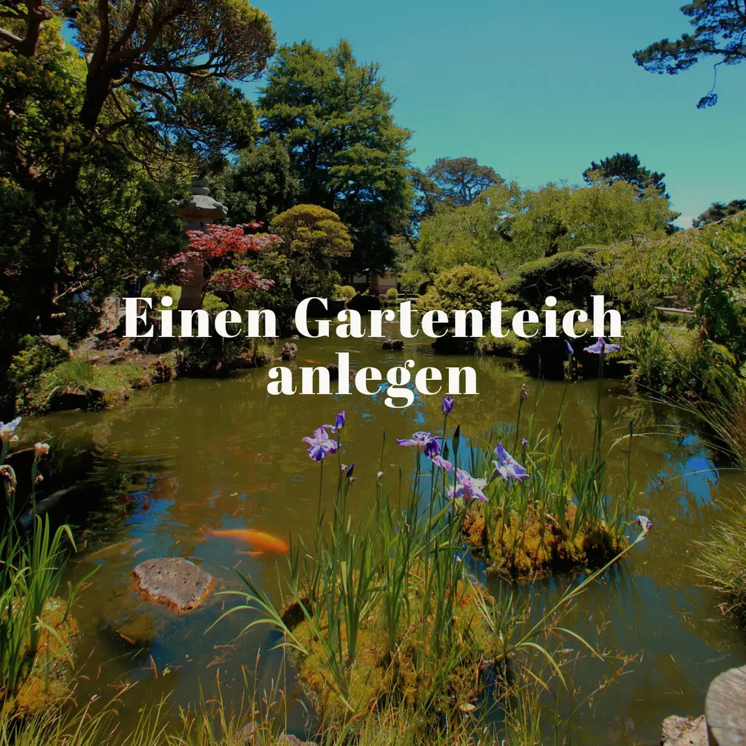 Gartenteich