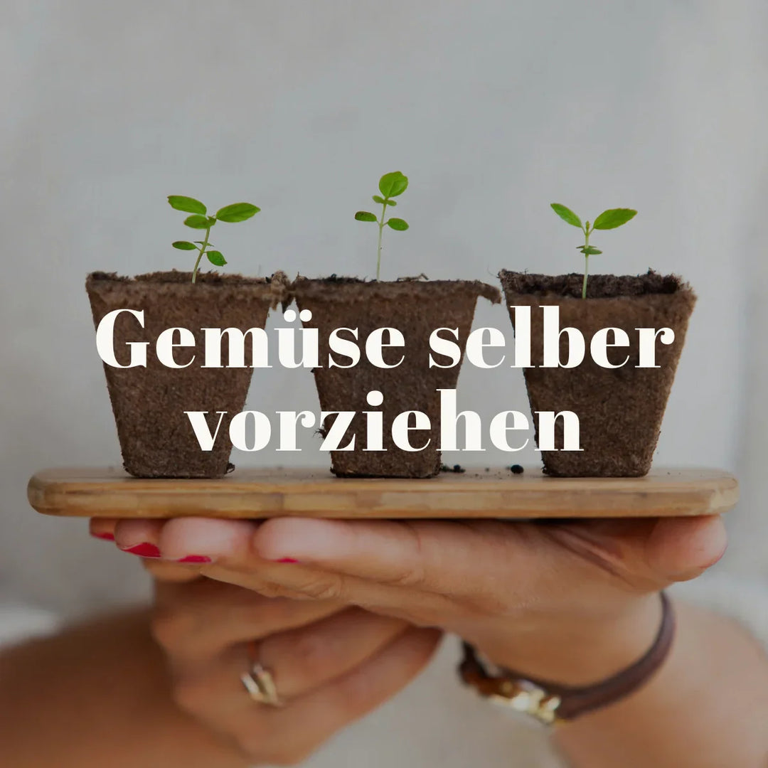 Anzuchtbehälter