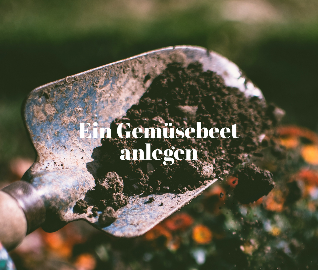 Ein Gemüsebeet anlegen