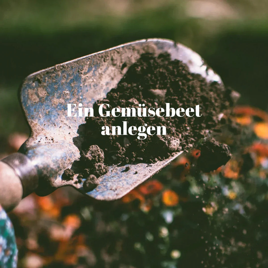 Schaufel mit Erde