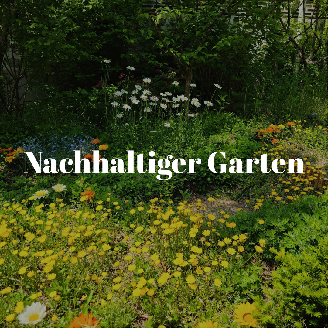 Nachhaltiger Garten