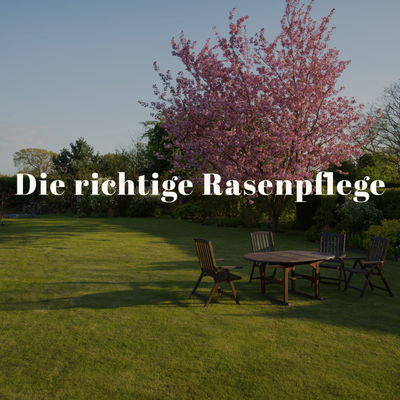 Die richtige Rasenpflege