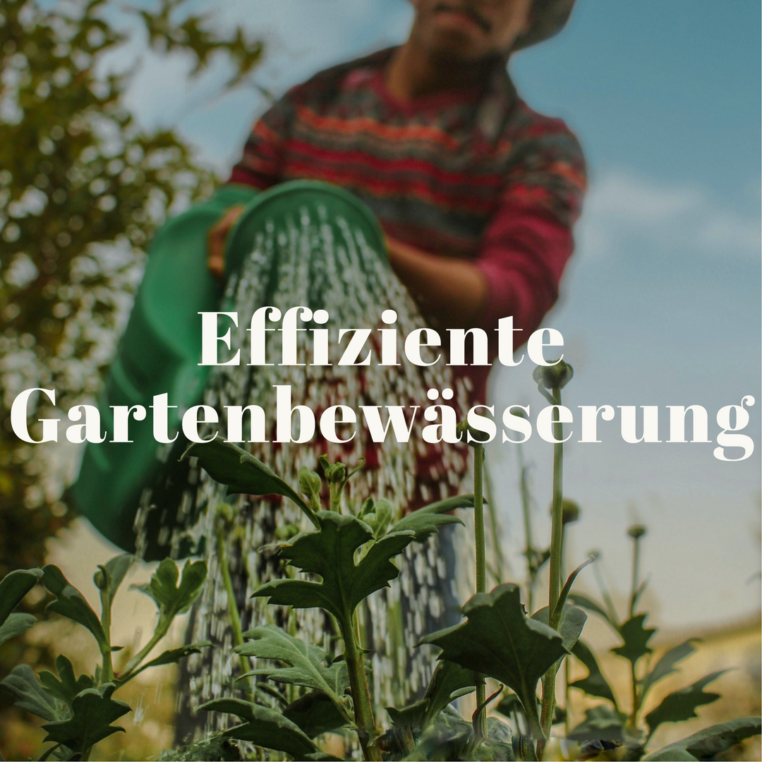 Effiziente Gartenbewässerung: Tipps und Tricks für eine gesunde Pflanzenentwicklung