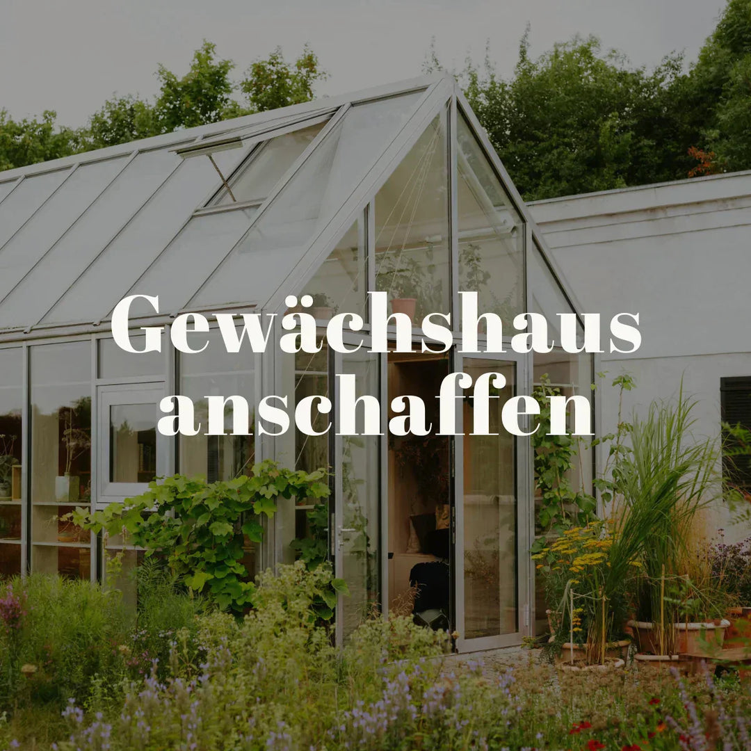 Gewächshaus
