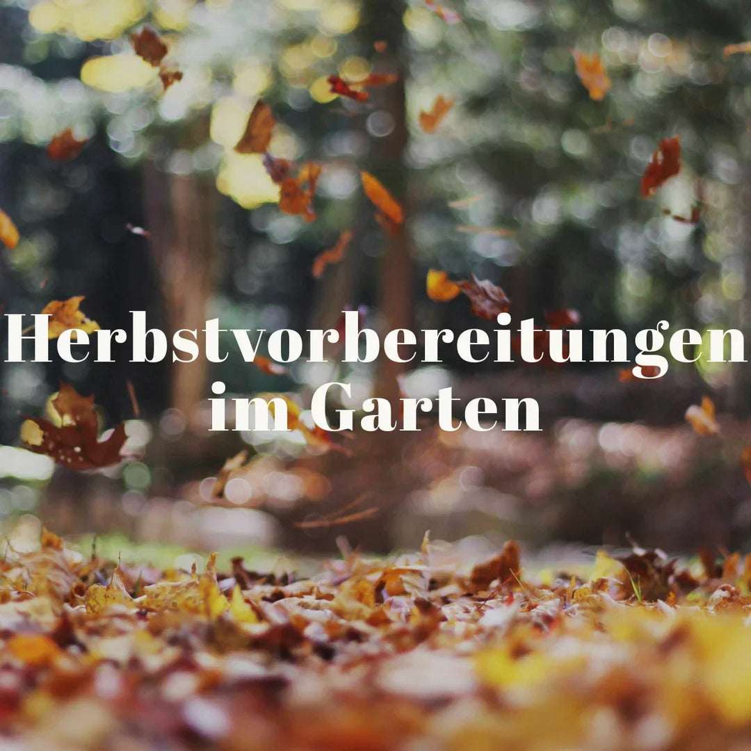 Blätter im Herbst