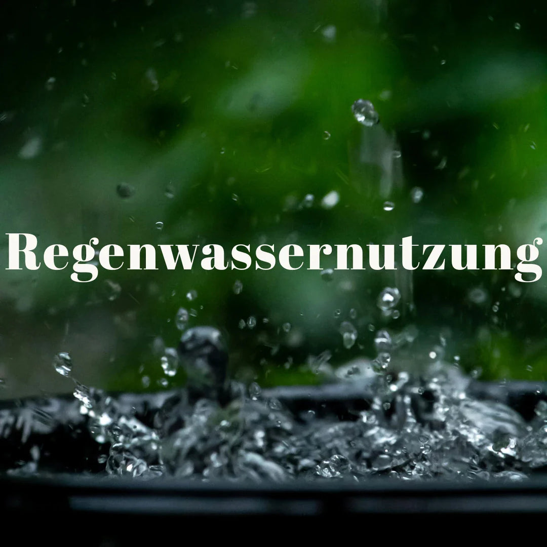 Regenwassernutzung