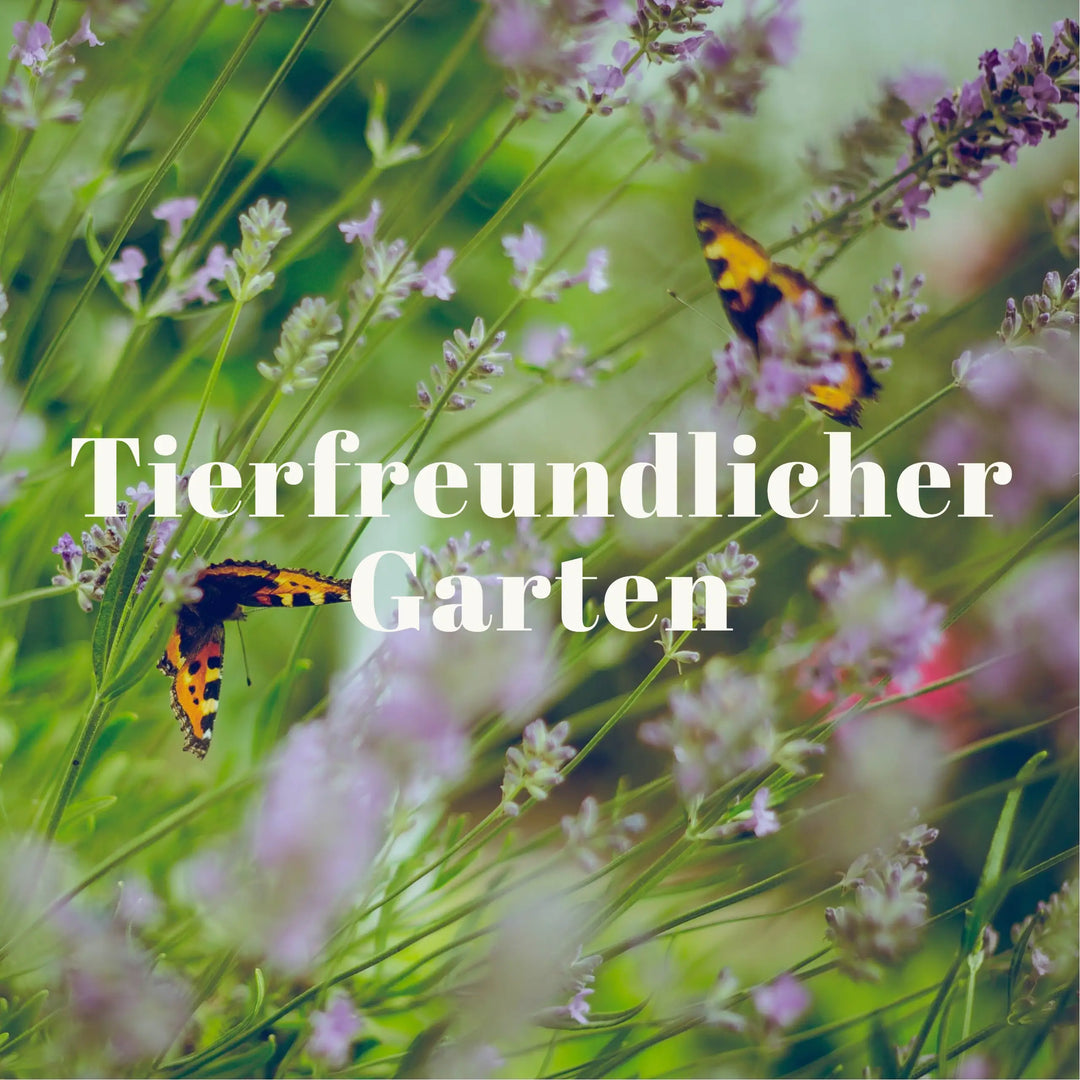 Tierfreundlicher Garten